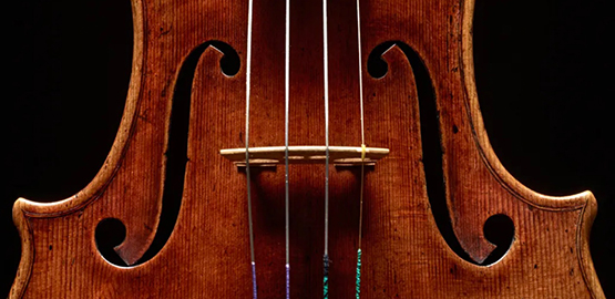 381_website_header